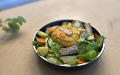 Smoked Tofu Cutlet Salad with Cheesy Dressing